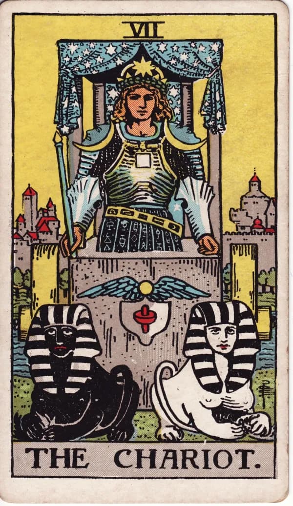 Carta O Carro do tarot (arcano 7)