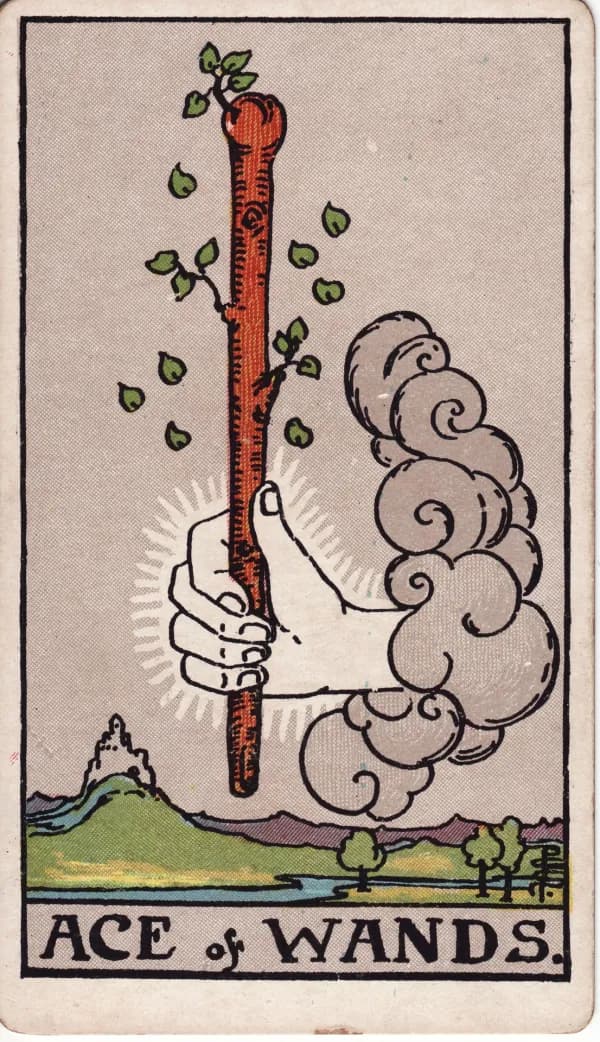 Carta Ás de Paus do tarot