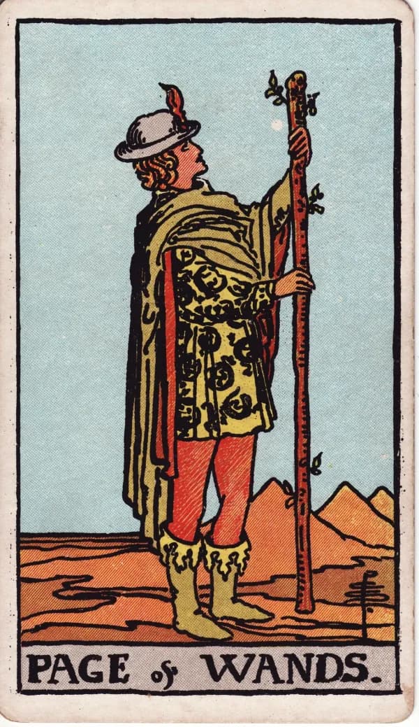 Carta Valete de Paus do tarot